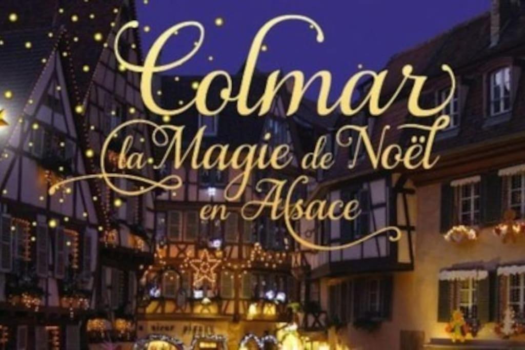 Aux Portes De La Petite Venise Colmar Kültér fotó